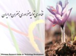 دانلود پاورپوینت فناوری تولید زعفران در ایران صفحه 2 