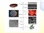 دانلود پاورپوینت کاربردهای نانوبیوتکنولوژی در پزشکی صفحه 3 