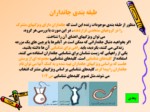 دانلود پاورپوینت گوناگونی جانداران صفحه 4 