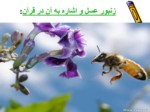 دانلود پاورپوینت حشرات در قرآن واحادیث صفحه 19 