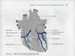 دانلود پاورپوینت نقش عوامل رفتاری در بیماریهای قلبی - عروقی صفحه 9 