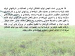 دانلود پاورپوینت معاونت آب و خاک و صنایع وزارت جهاد کشاورزی صفحه 5 