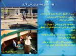 دانلود فایل پاورپوینت بیوتکنیک تکثیر و پرورش ماهیان دریایی جنوب ایران صفحه 11 