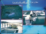 دانلود فایل پاورپوینت بیوتکنیک تکثیر و پرورش ماهیان دریایی جنوب ایران صفحه 14 