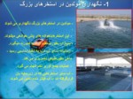 دانلود فایل پاورپوینت بیوتکنیک تکثیر و پرورش ماهیان دریایی جنوب ایران صفحه 6 