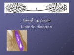 دانلود فایل پاورپوینت لیستریوز گوسفند Listeria disease صفحه 1 