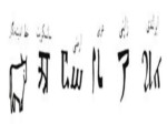 دانلود فایل پاورپوینت تاریخچه زبان و خط در عهد باستان صفحه 11 