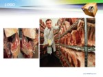 دانلود فایل پاورپوینت چگونگی تبدیل عضله به گوشت وعوامل موثر بر آن صفحه 10 