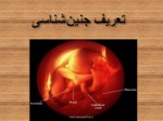 دانلود فایل پاورپوینت شگفتی های جنین شناسی در قرآن کریم و بیان معصومین ( ع ) صفحه 3 