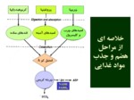 دانلود فایل پاورپوینت متابولیسم و بیوانرژتیک صفحه 5 