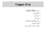 دانلود فایل پاورپوینت TRACE ELEMENTS صفحه 14 