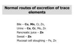 دانلود فایل پاورپوینت TRACE ELEMENTS صفحه 6 
