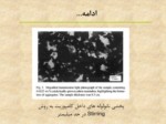 دانلود فایل پاورپوینت نانو لوله ها Dispersing Nanotubes صفحه 5 