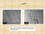 دانلود فایل پاورپوینت نانو لوله ها Dispersing Nanotubes صفحه 7 