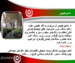 دانلود فایل پاورپوینت جمهوری اسلامی افغانستان صفحه 13 
