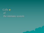 دانلود فایل پاورپوینت Cells of the immune system صفحه 1 