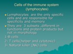 دانلود فایل پاورپوینت Cells of the immune system صفحه 4 