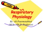 دانلود فایل پاورپوینت Respiratory Physiology صفحه 2 