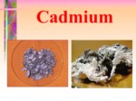 دانلود فایل پاورپوینت کادمیوم CADMIUM صفحه 4 