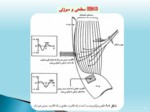 دانلود فایل پاورپوینت سیگنالهای بیوالکتریک صفحه 13 