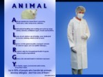 دانلود فایل پاورپوینت ملاحظات ایمنی در کار با حیوانات آزمایشگاهی صفحه 10 