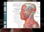 دانلود فایل پاورپوینت آناتومی ناحیه سر و گردن بدن انسان صفحه 13 