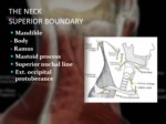 دانلود فایل پاورپوینت آناتومی ناحیه سر و گردن بدن انسان صفحه 3 