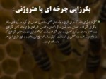 دانلود فایل پاورپوینت مفهوم بکرزایی در زنبور عسل صفحه 7 