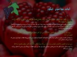 دانلود فایل پاورپوینت خواص میوه های قرآنی صفحه 11 