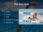 دانلود فایل پاورپوینت حرکت های آموزشی شنا صفحه 4 