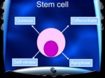 دانلود پاورپوینت سلول های سرطانی صفحه 3 