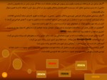 دانلود پاورپوینت سیستم عامل ایرانیان صفحه 14 