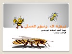 دانلود پاورپوینت پروژه ی زنبور عسل صفحه 1 