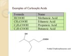 دانلود فایل پاورپوینت Carboxylic Acids and Their Derivatieves صفحه 6 