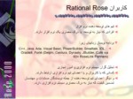 دانلود فایل پاورپوینت Rational Rose صفحه 4 