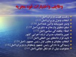 دانلود فایل پاورپوینت ساختار دولت و ساختار اجرائی آن در قانون اساسیجمهوری اسلامی ایران صفحه 9 
