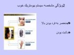 دانلود فایل پاورپوینت IRIS RECOGNITION صفحه 11 