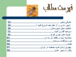 دانلود فایل پاورپوینت پرورش و نگهداری زنبور عسل صفحه 4 