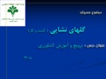 دانلود فایل پاورپوینت گلهای نشایی ( کشت و کار ) صفحه 2 