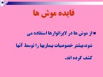 دانلود فایل پاورپوینت آفات موذی جوندگان ایران صفحه 10 