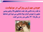 دانلود فایل پاورپوینت آفات موذی جوندگان ایران صفحه 15 