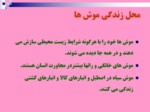 دانلود فایل پاورپوینت آفات موذی جوندگان ایران صفحه 9 
