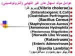 دانلود فایل پاورپوینت وبا صفحه 11 