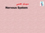 دانلود فایل پاورپوینت سیستم عصبی صفحه 1 