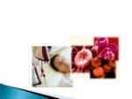 دانلود فایل پاورپوینت دکتر اعظم السادات هاشمی فوق تخصص بیماریهای خون و انکولوژی اطفال ( مرکز تحقیقات خون و سرطان دانشگاه علوم پزشکی شهید صدوقی یزد ) صفحه 3 