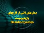 دانلود فایل پاورپوینت بیماریهای ناشی از قارچهای بازیدیومیست Basidiomycetes صفحه 1 