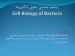 دانلود فایل پاورپوینت زیست‌ شناسی‌ سلولی‌ باکتری‌ها Cell Biology of Bacteria صفحه 2 