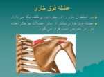 دانلود فایل پاورپوینت تجزیه وتحلیل حرکتهای ساده دست از مفصل شانه صفحه 11 