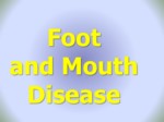دانلود فایل پاورپوینت Foot and Mouth Disease صفحه 2 