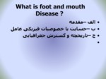 دانلود فایل پاورپوینت Foot and Mouth Disease صفحه 4 